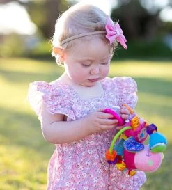 Playgro Clip Clop Rammelaar - Roze - Activiteitenspeeltje - Kraamkado -Babyartikelen Winkel 1086x1200