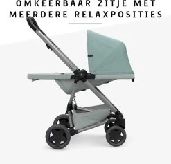 Quinny Zapp Flex Plus Buggy - Frost On Grey -Babyartikelen Winkel 1200x1150 8