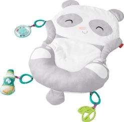 Fisher Price Allesinéén Pandaspeelmat -Babyartikelen Winkel 1200x1184