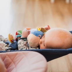 Playgro Clip Clop Rammelaar - Blauw - Activiteitenspeeltje - Kraamkado -Babyartikelen Winkel 1200x1200 30