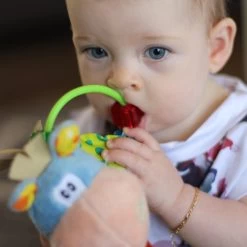 Playgro Clip Clop Rammelaar - Blauw - Activiteitenspeeltje - Kraamkado -Babyartikelen Winkel 1200x1200 32