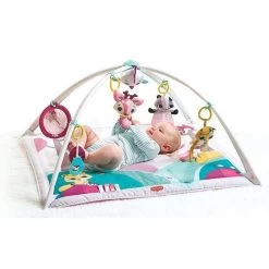 Tiny Love Deluxe Babygym - Princess Tales - Roze -Babyartikelen Winkel 1200x1200 50