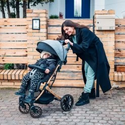 MoMi Wandelwagen - Compacte Lichtgewicht Buggy - Estelle Dakar Met XXL Wielen & Zonnekap - Leopard - Grijs-Goud (geschikt Van 6mnd - 22kg) -Babyartikelen Winkel 1200x1200 515