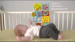 Taf Toys Activity Center Voor Aan De Box, Campingbed Of Los Te Gebruiken, Met Muziek En Licht – 0 Tot 24 Maanden -Babyartikelen Winkel 1200x682