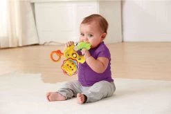 VTech Baby Brul & Speel Rammelaar - Educatief Babyspeelgoed - Bijtring - 3 Tot 24 Maanden -Babyartikelen Winkel 1200x801