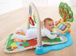 VTech Baby Dierenvriendjes Speelmat - Babygym - Interactief Speelgoed - 6 Tot 36 Maanden -Babyartikelen Winkel 1200x892