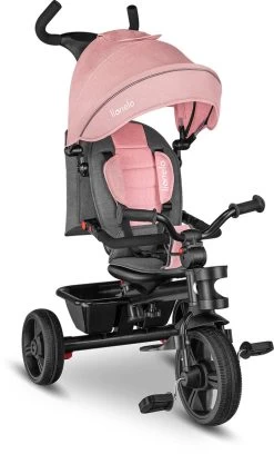 Lionelo Haari - Driewieler - Drankhouder - 2in1 - Tot 36+ -Babyartikelen Winkel 727x1200