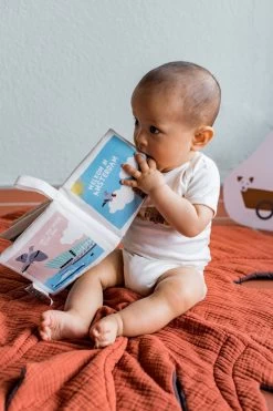 Zacht Babyboekje Amsterdam - 100% Katoen - Fairly Made - In Mooie Geschenkverpakking - Duurzaam En Origineel Kraamcadeau -Babyartikelen Winkel 800x1200 13