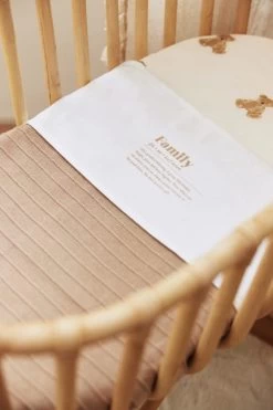 Jollein Baby Hoeslaken Jersey 40/50x80/90cm - Teddy Bear -Babyartikelen Winkel 800x1200 178