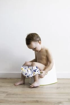 HappyBear - Oefenbroekje Circus | 2-4 Jaar - Onesize - Zindelijkheidstraining - Potjestraining -Babyartikelen Winkel 800x1200 258