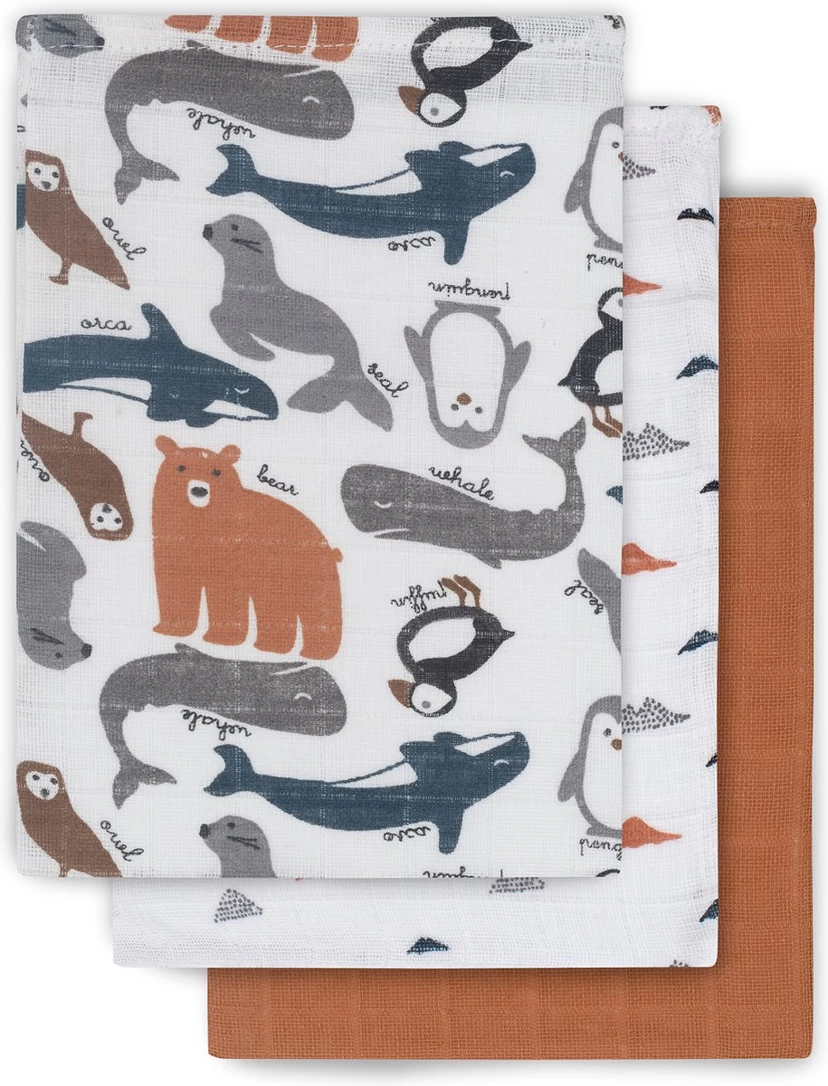 Jollein Baby Hydrofiel Washandje Polar - 3 Stuks 1 Jollein Baby Hydrofiel Washandje Polar - 3 Stuks