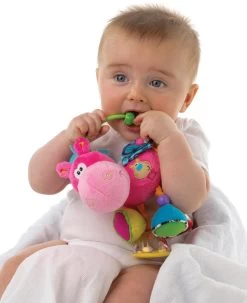 Playgro Clip Clop Rammelaar - Roze - Activiteitenspeeltje - Kraamkado -Babyartikelen Winkel 979x1200